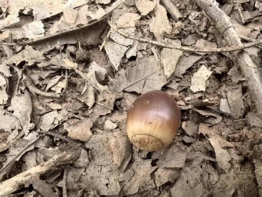 麓野公园丨中国成都丨四川乐道景观设计有限公司-243