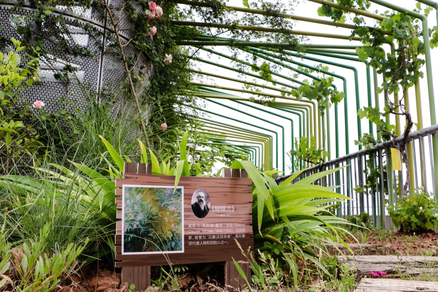 南京志远外语学校天空之园丨中国南京丨南京林业大学风景园林学院团队-16