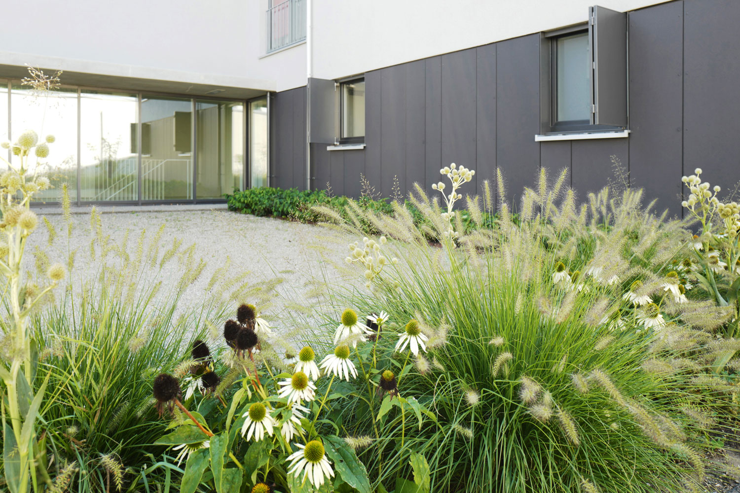 德国因戈尔施塔特“Hinteranger”社区绿化设计-2