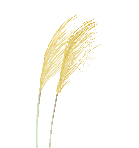 匠心诚品 | 空间与环境的情感维系-14