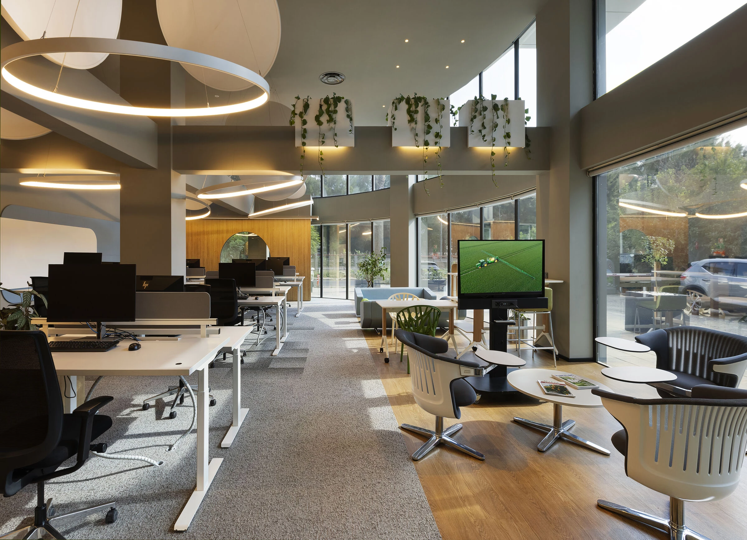 BASF 土耳其伊兹密尔办公室丨mimaristudio-6