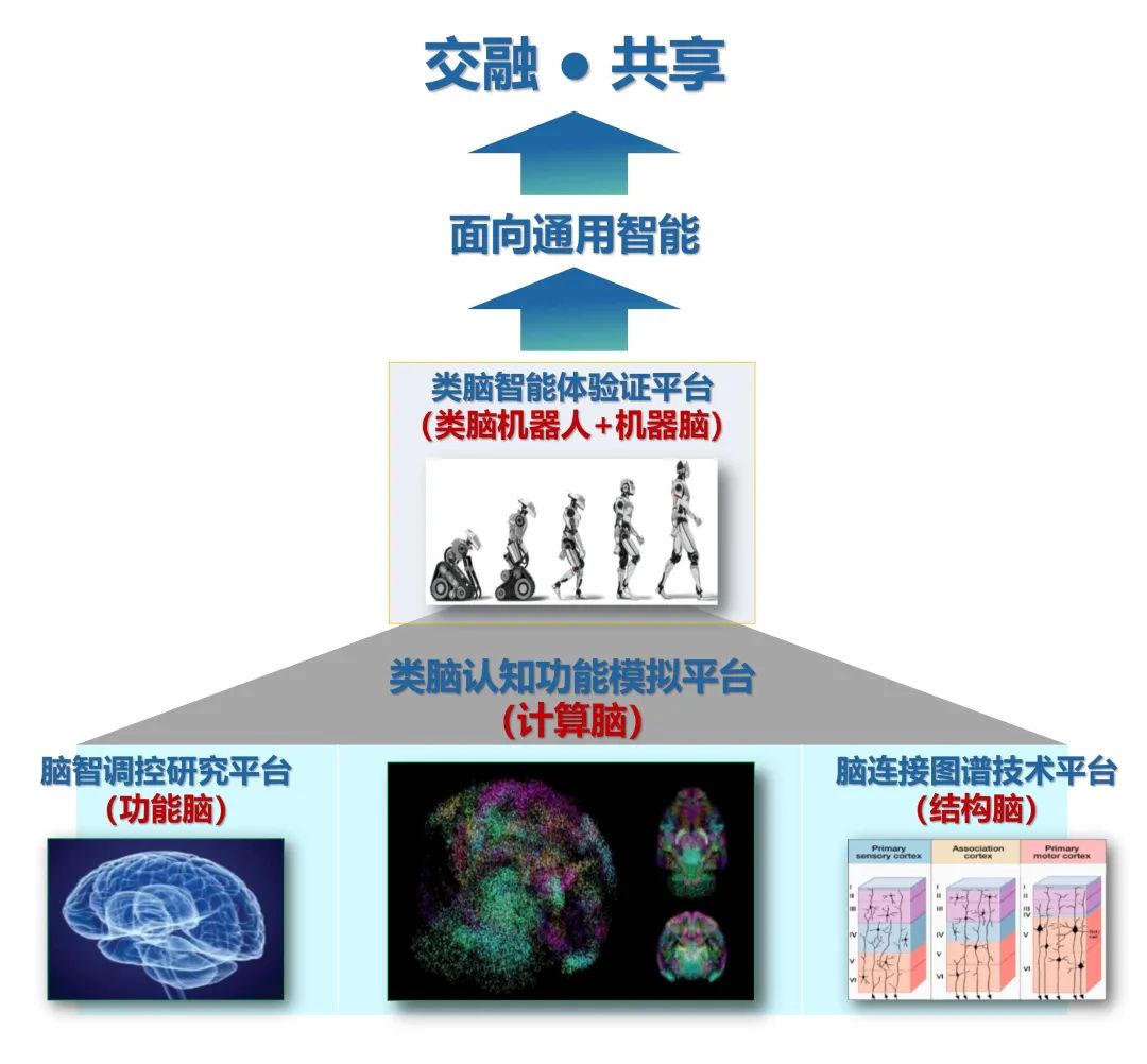 脑认知功能图谱与类脑智能交叉研究平台项目丨中国北京丨中科院建筑设计研究院有限公司-15