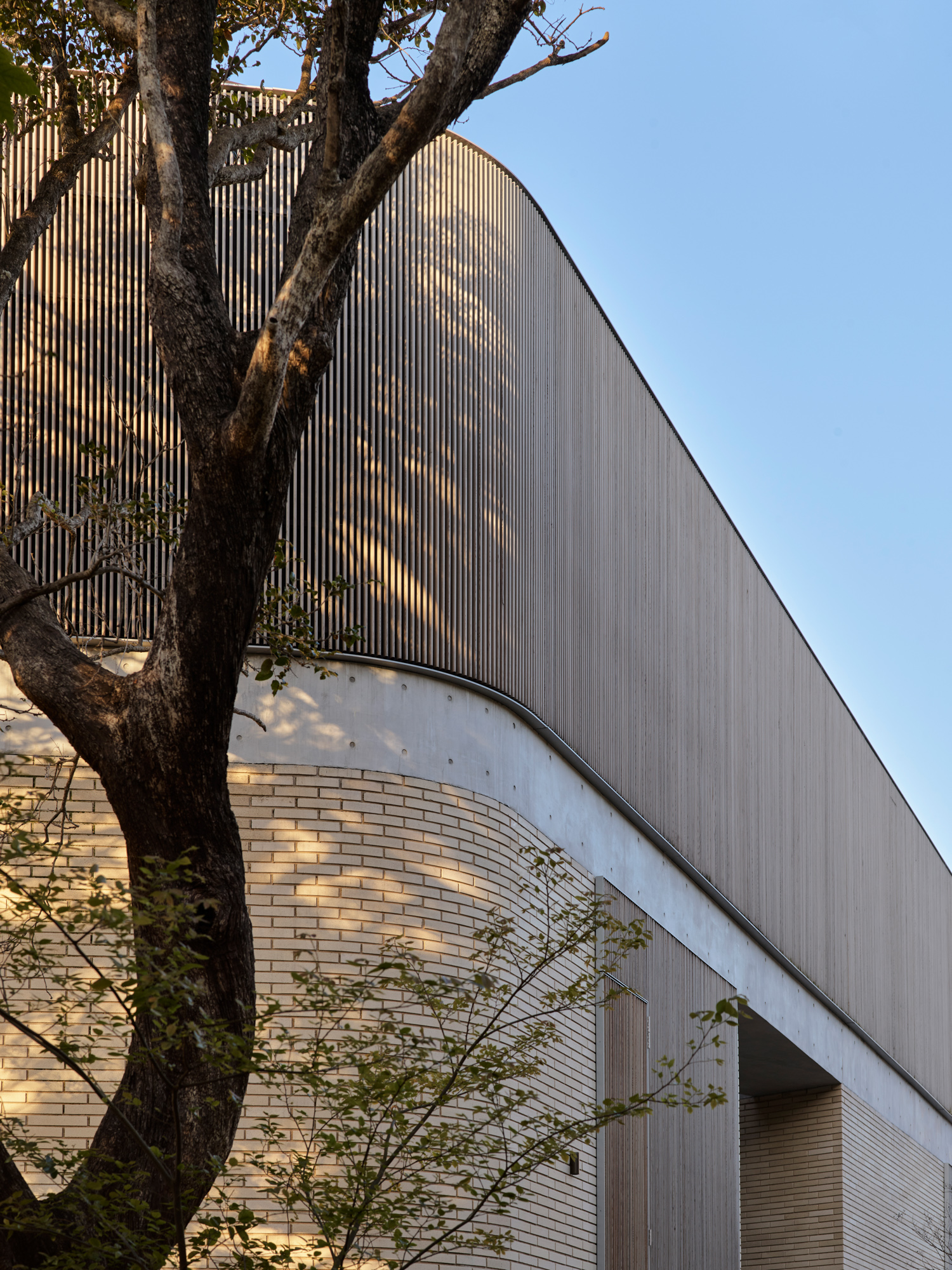 黑胡蜂之家丨澳大利亚丨Stafford Architecture-25