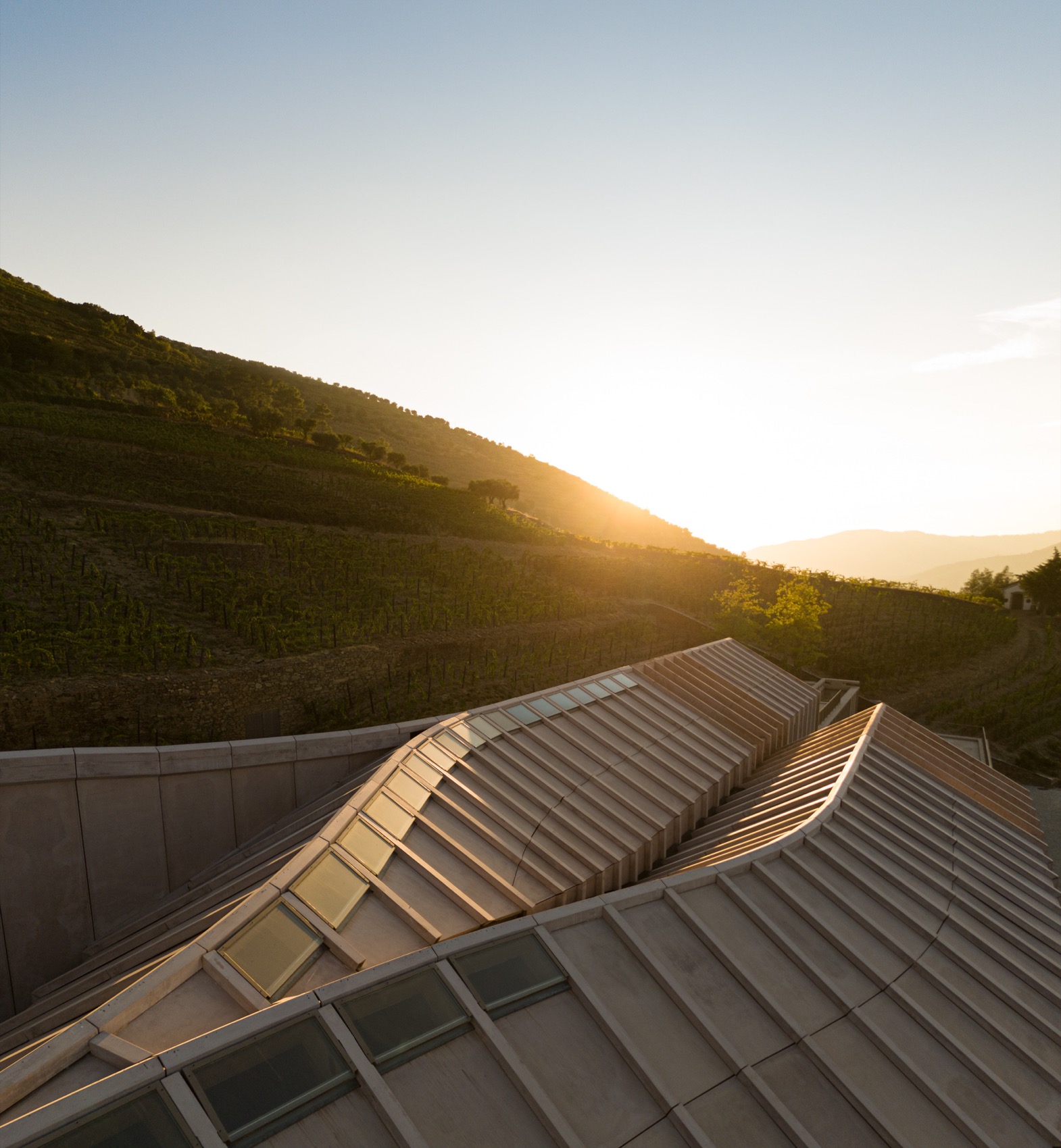 Quinta de Adorigo酒庄丨葡萄牙杜罗丨Atelier Sergio Rebelo等多家团队及个人-37