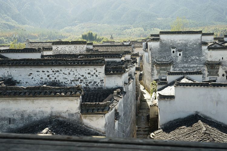 辞去工作，历时7个月，他们过上了有院子，有诗和远方的生活-23