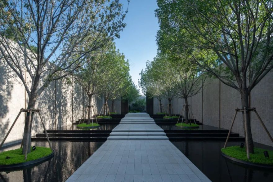 园路列植设计丨上景总工办-34