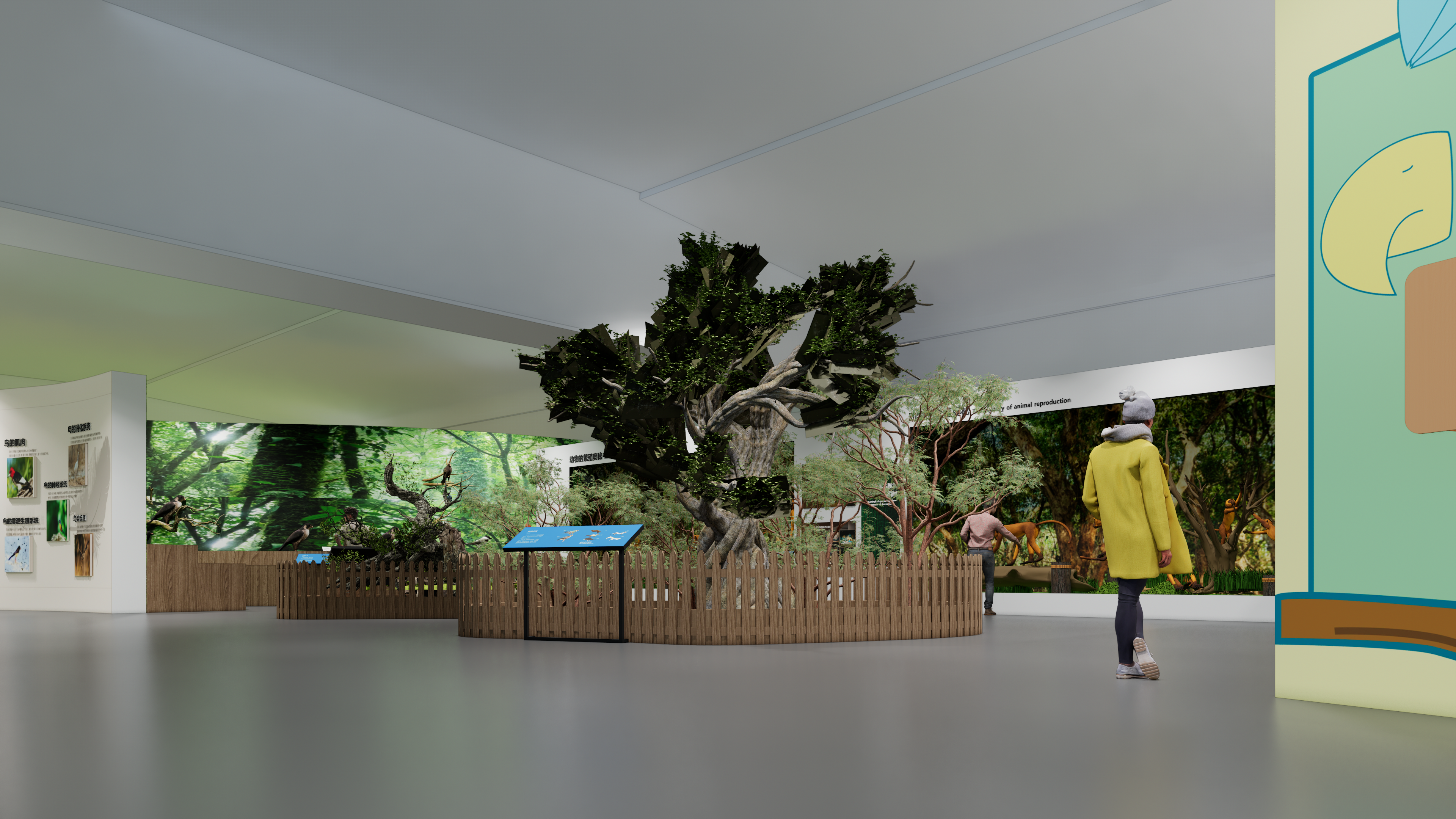 岳阳大熊猫基地-标本展-6