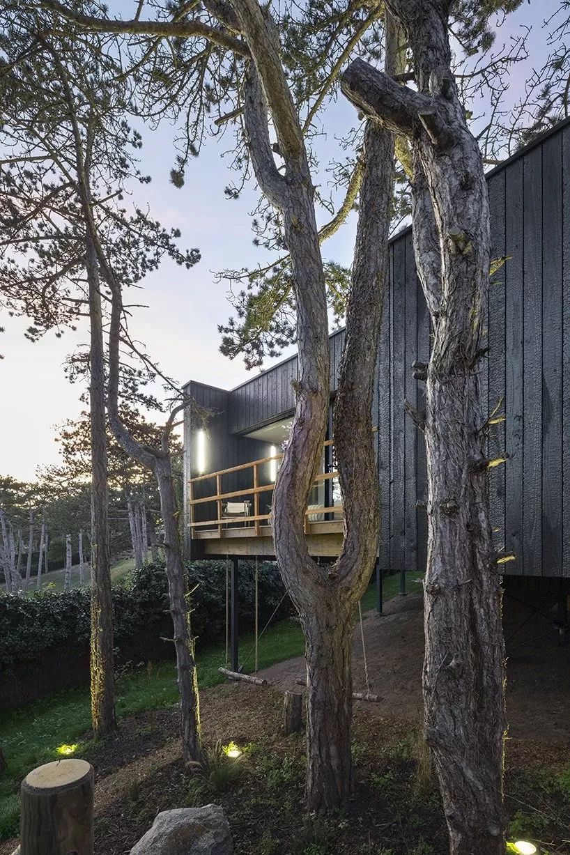 乡村松树树屋，与自然共生的设计奇迹-9