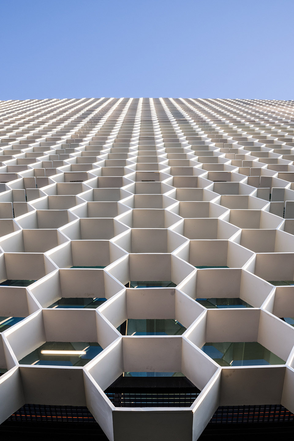 葡萄牙足球联盟新总部丨OODA-13