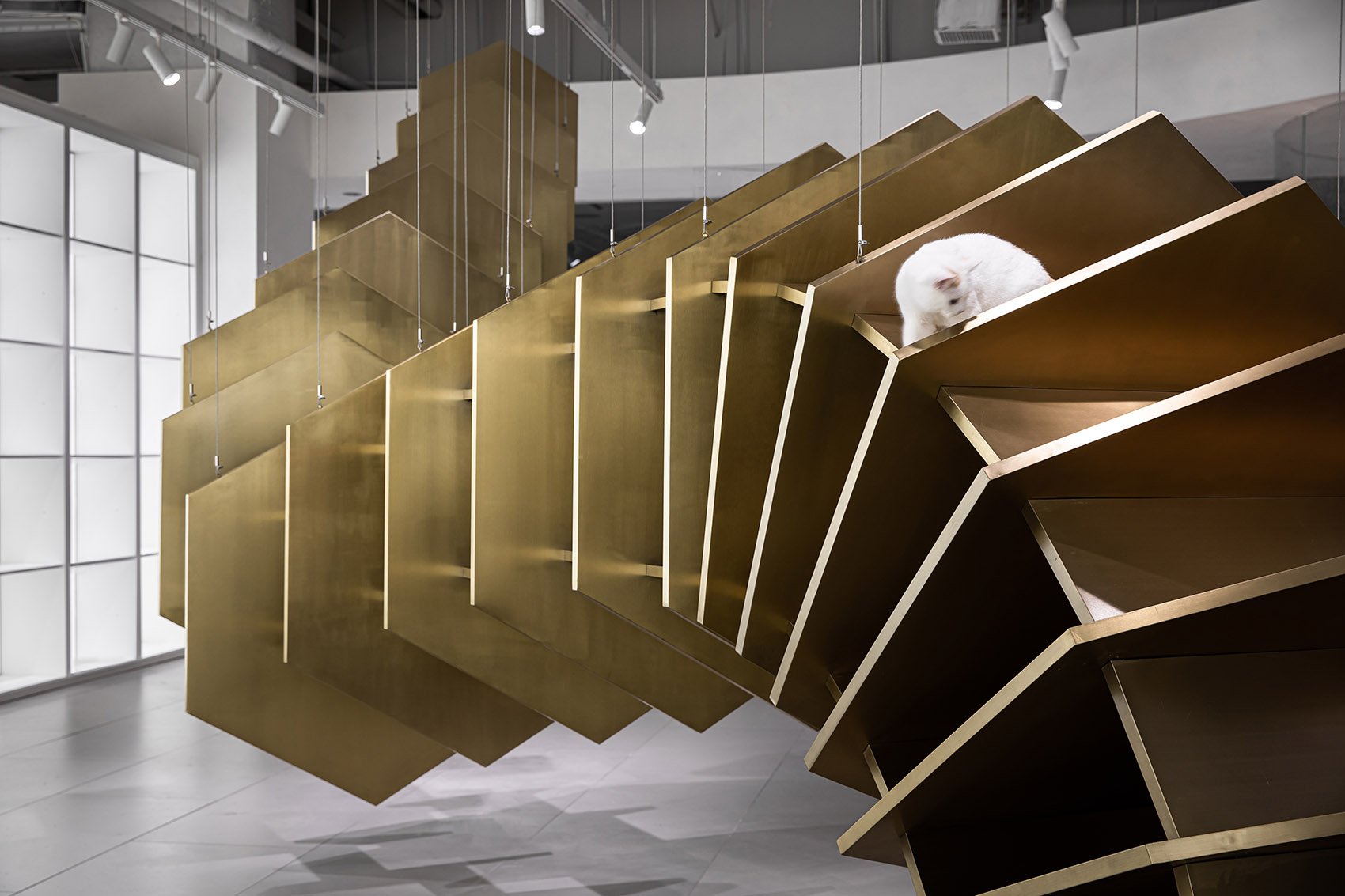 杭州三只尾巴-pidan线下品牌体验店 | 泛域设计-18