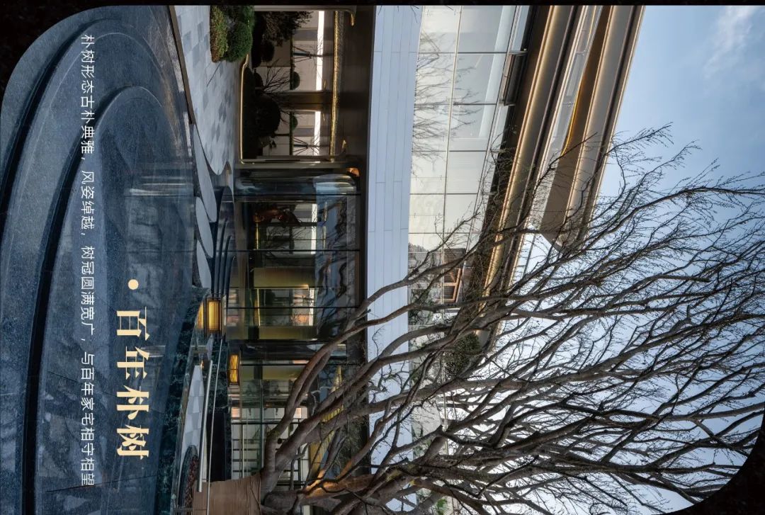 曲韵漫境·合肥城建梓桐院丨罗朗设计-35