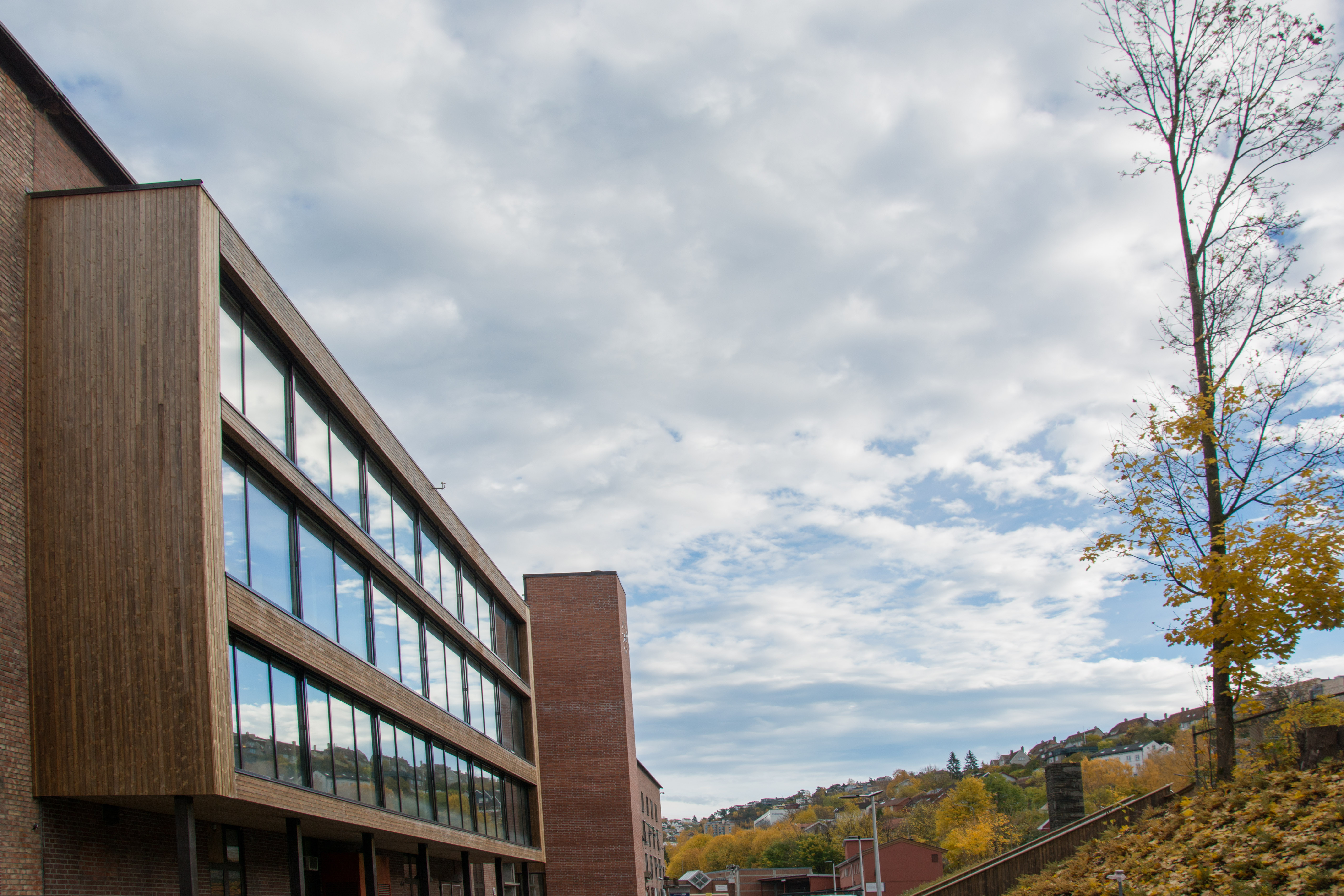 Various Architects 的 Lokomotivstallen 项目-20