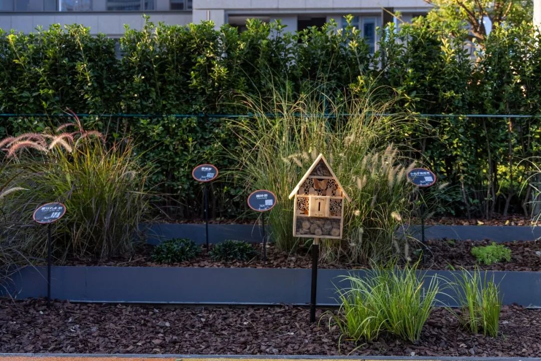 湖州府大区景观设计丨中国湖州丨柏纳遨天(杭州)景观设计有限公司,杭州邑都建筑景观设计有限公司-85