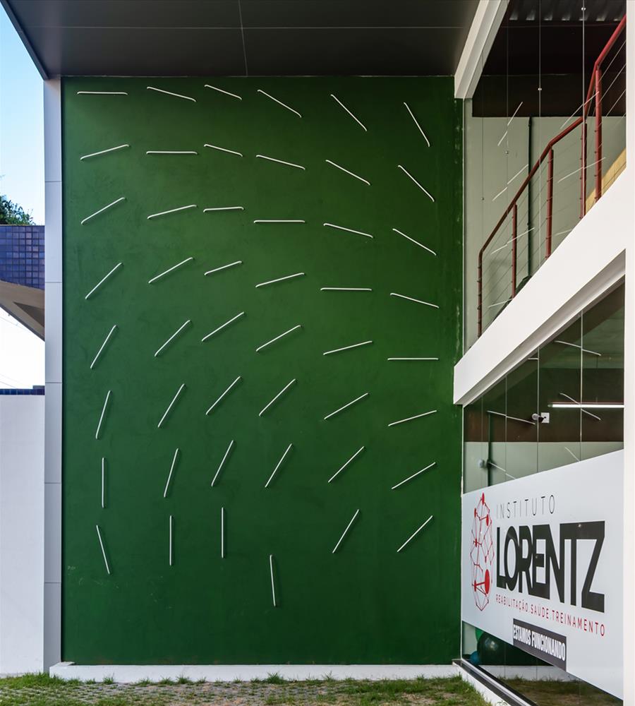 巴西 Instituto Lorentz 运动康复中心-2