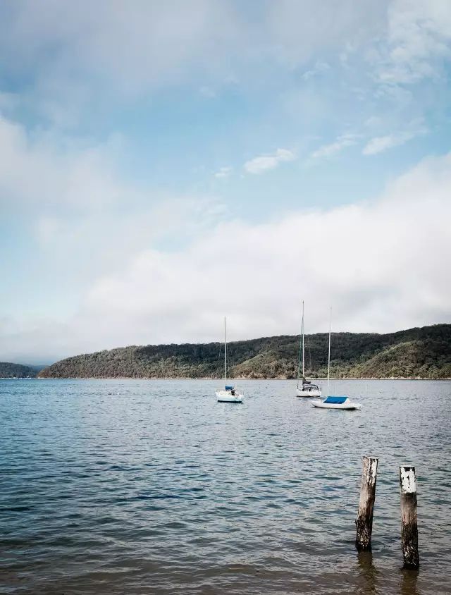 棕榈滩别墅一号 / Alexander & Co.-1