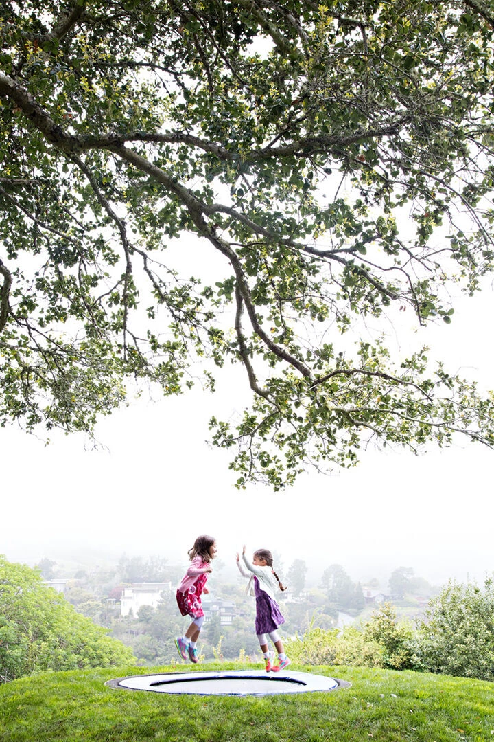 Hacienda Tiburon Landscape-11