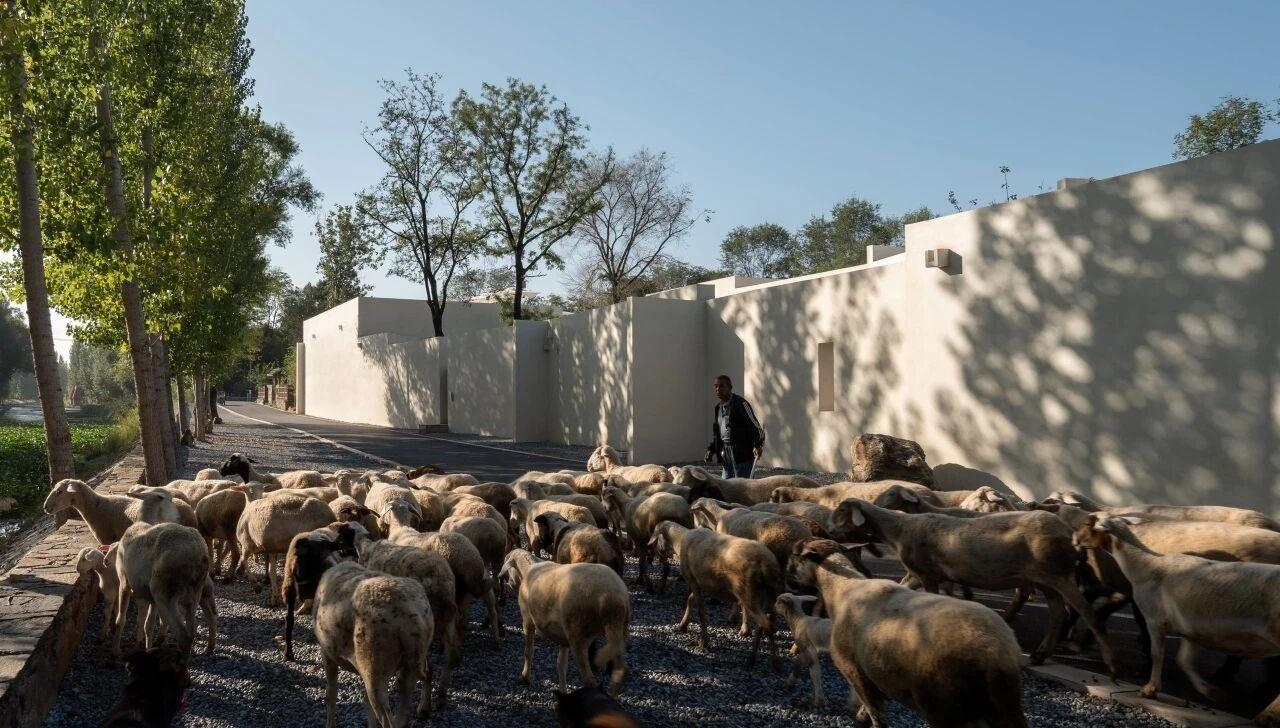 和隐度假酒店丨中国河北丨Domain Architects十域建筑-16