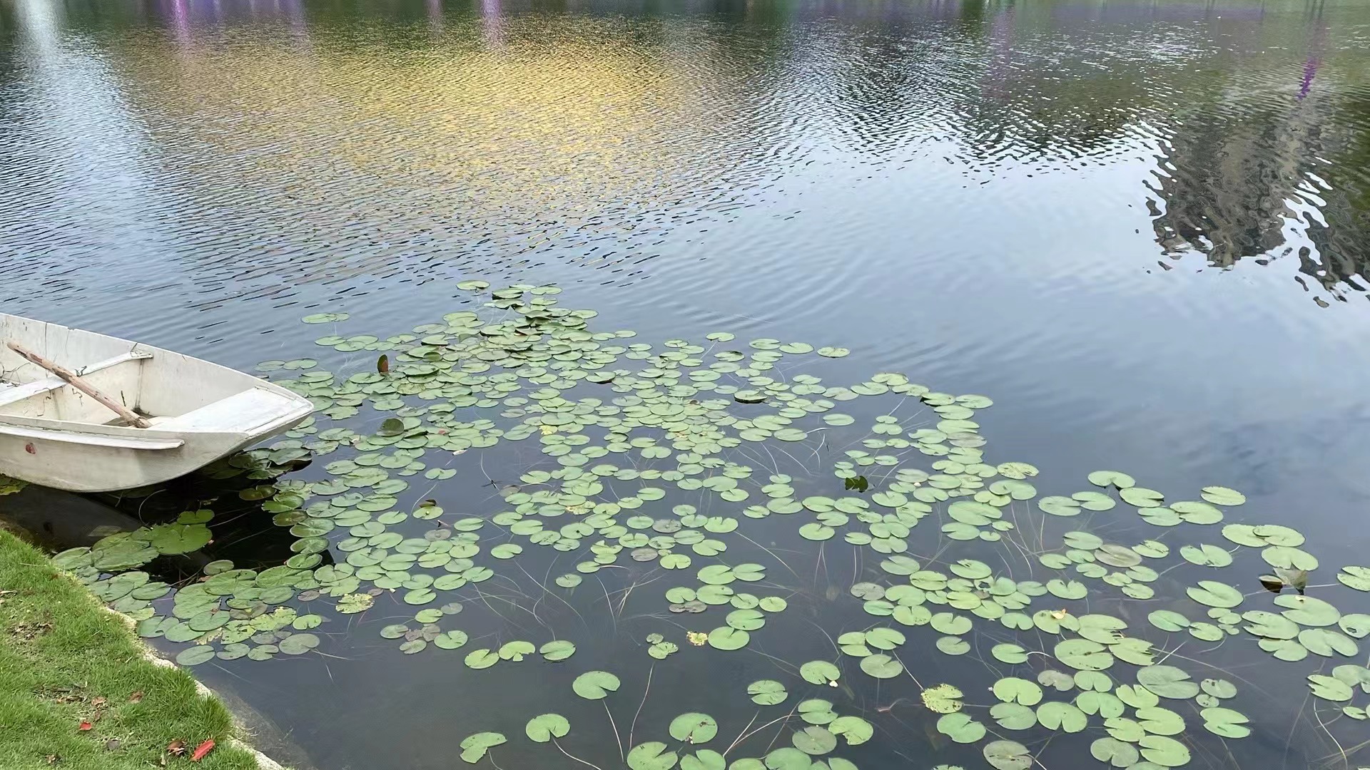 运河亚运公园 (拱墅区运河体育公园)丨中国杭州丨景观概念AECOM,景观深化杭州园林设计院等多家-44