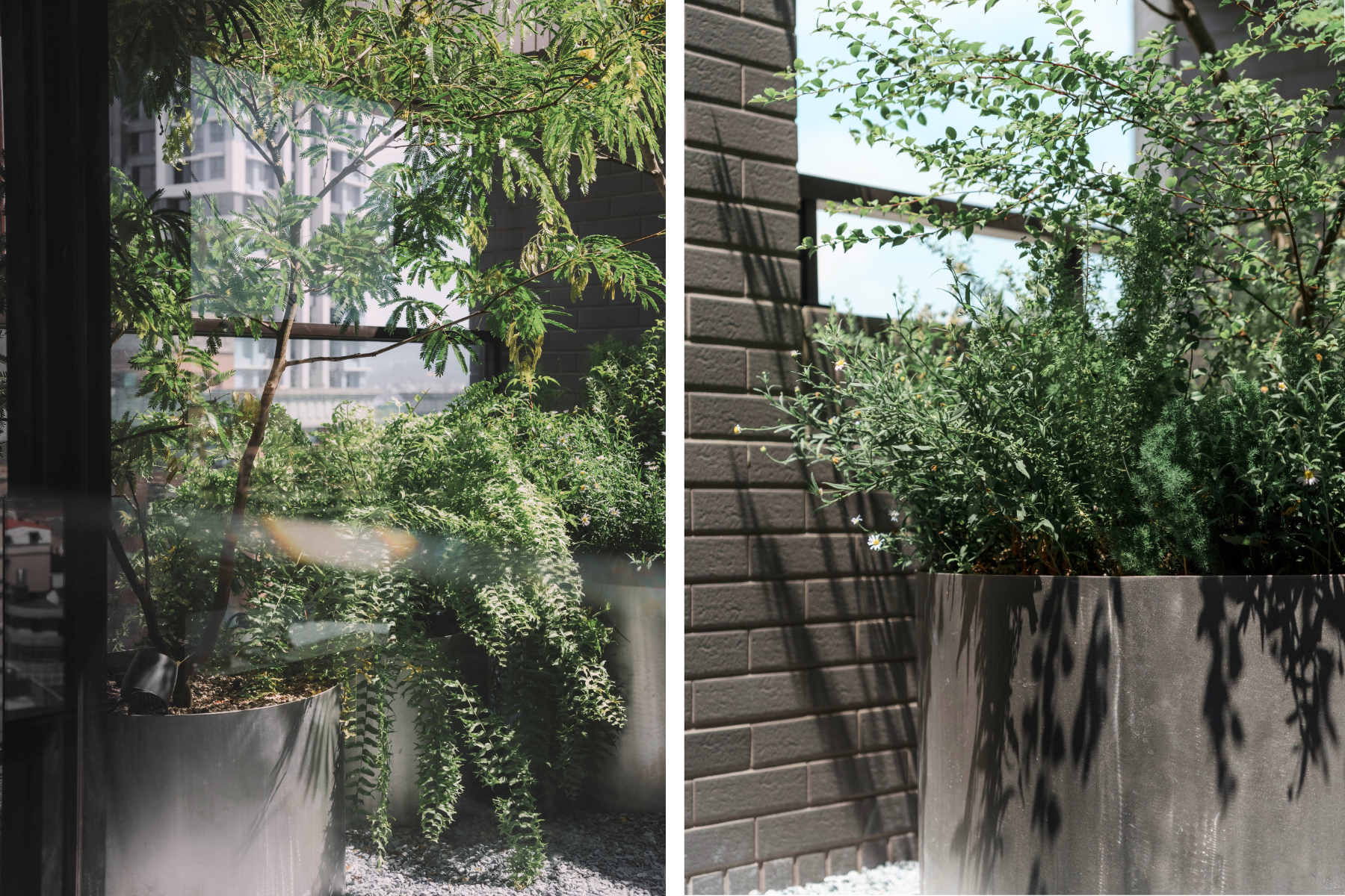 住宅案 | 板橋區 | 陽台景觀設計-2