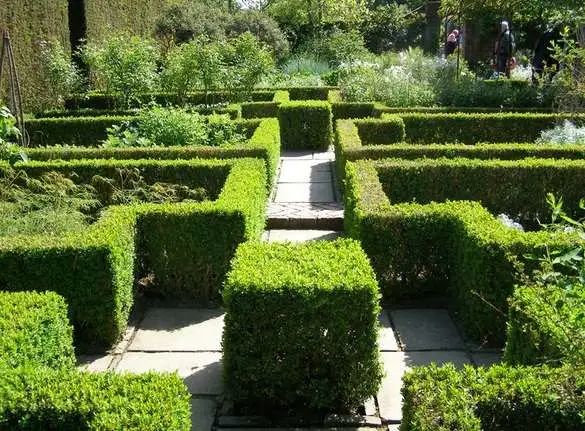 一个设计，一个栽种，夫妻协力打造的复古花园-23