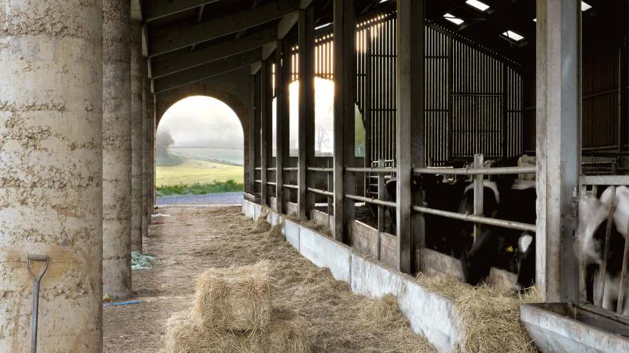 历史农场的现代改造-0