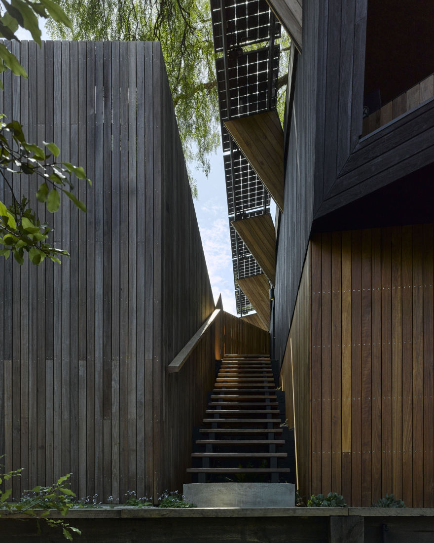 胡椒树被动式房屋丨澳大利亚丨Alexander Symes Architect-22