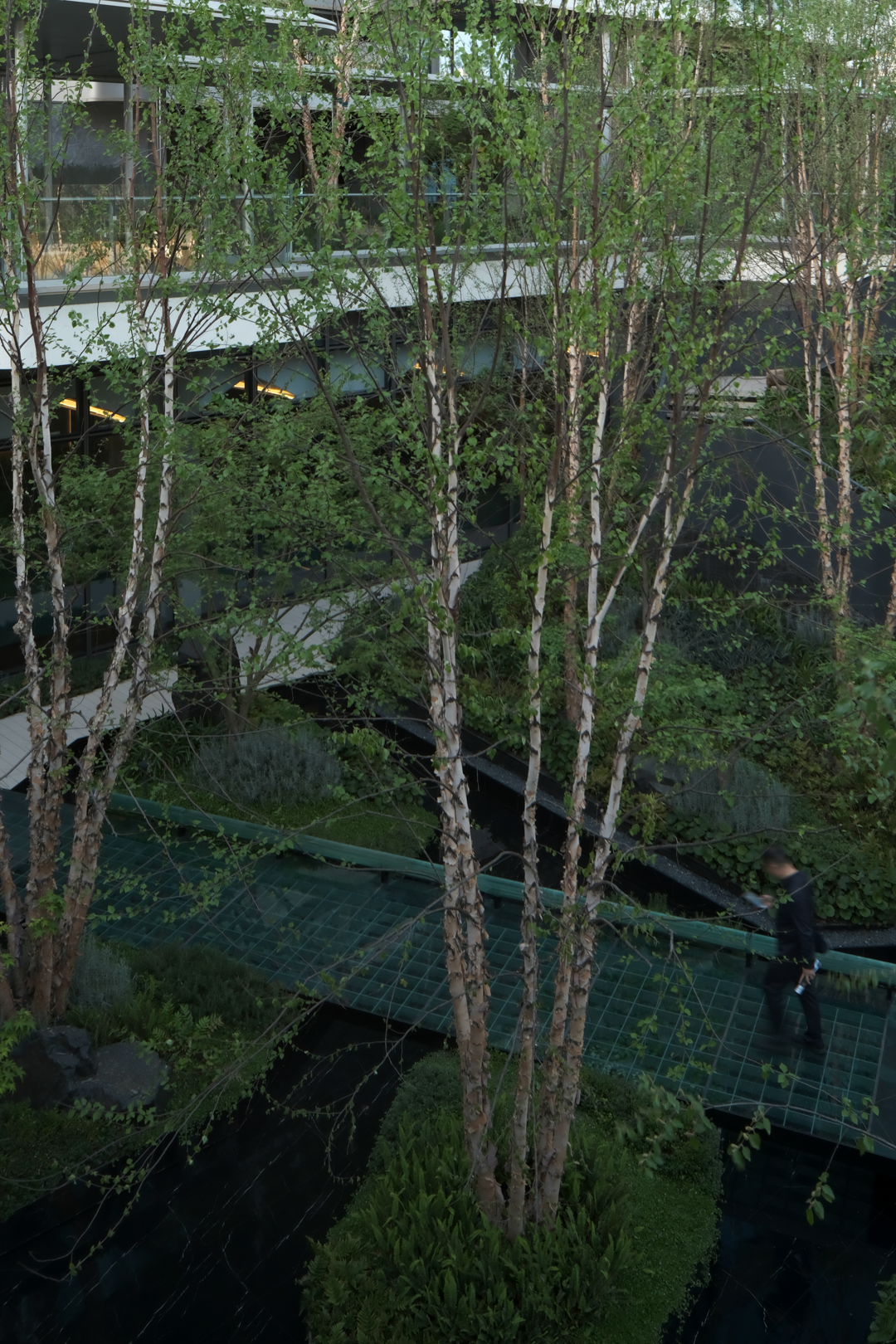 苏州蠡棠森屿-在苏州城市注脚下，种上一片森林丨中国苏州丨MIND  迈德景观-9