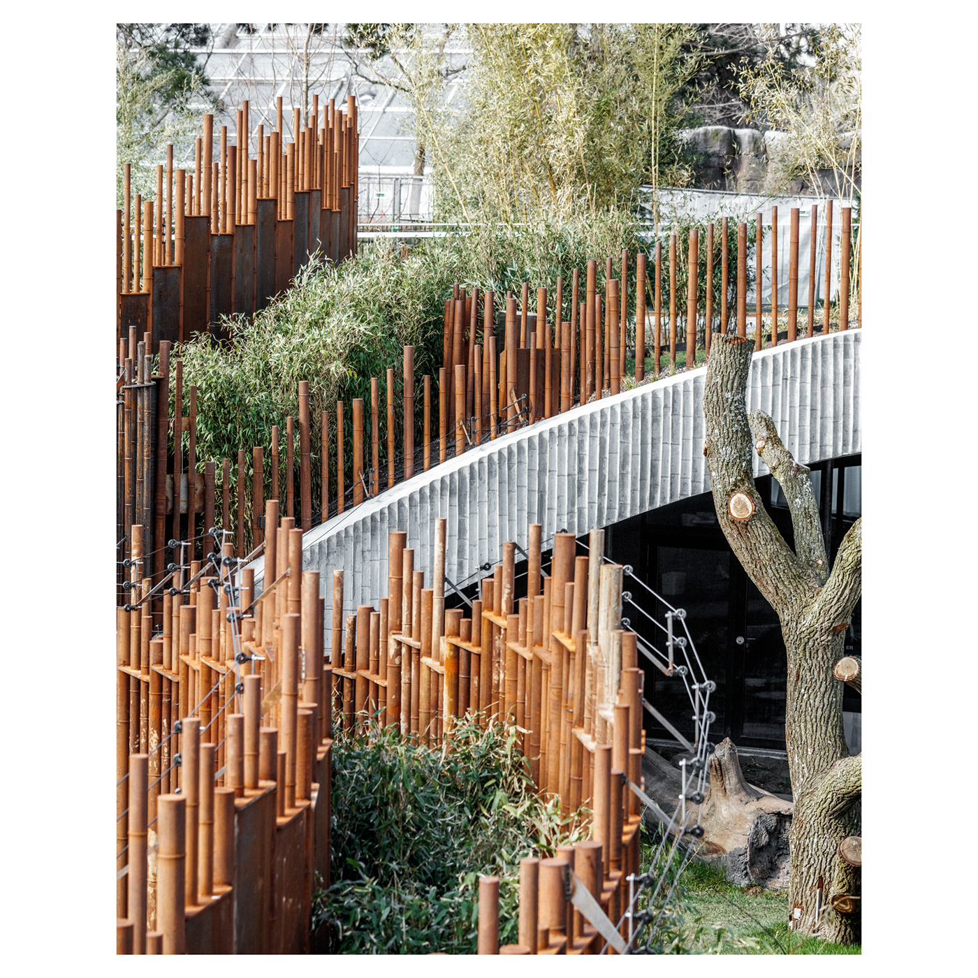 Anastasiya Gushchina丨公园丨P A N D A H O U S E-9