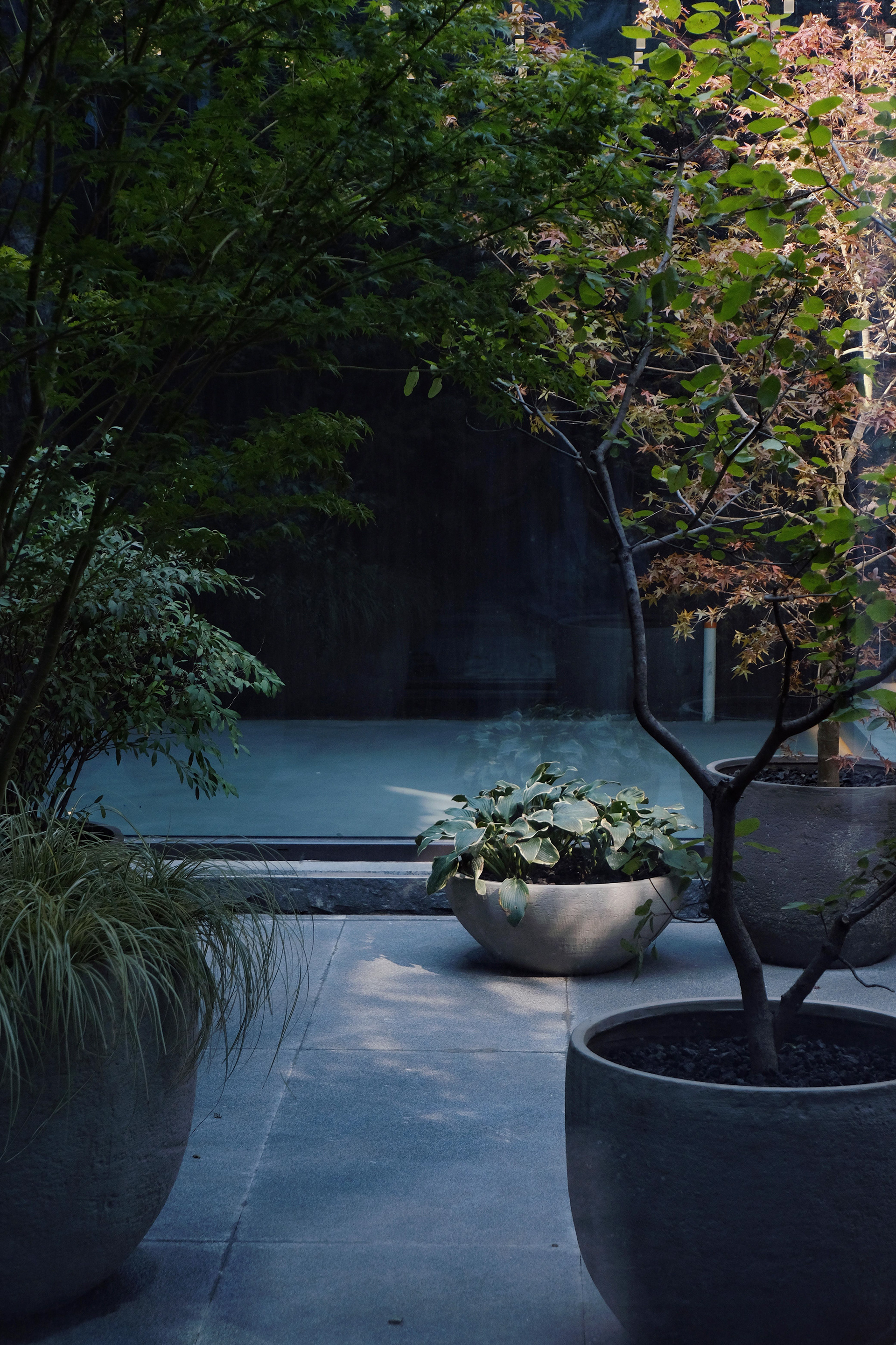 Urbanroots地下室花园丨中国北京丨Diff architecture studio-34