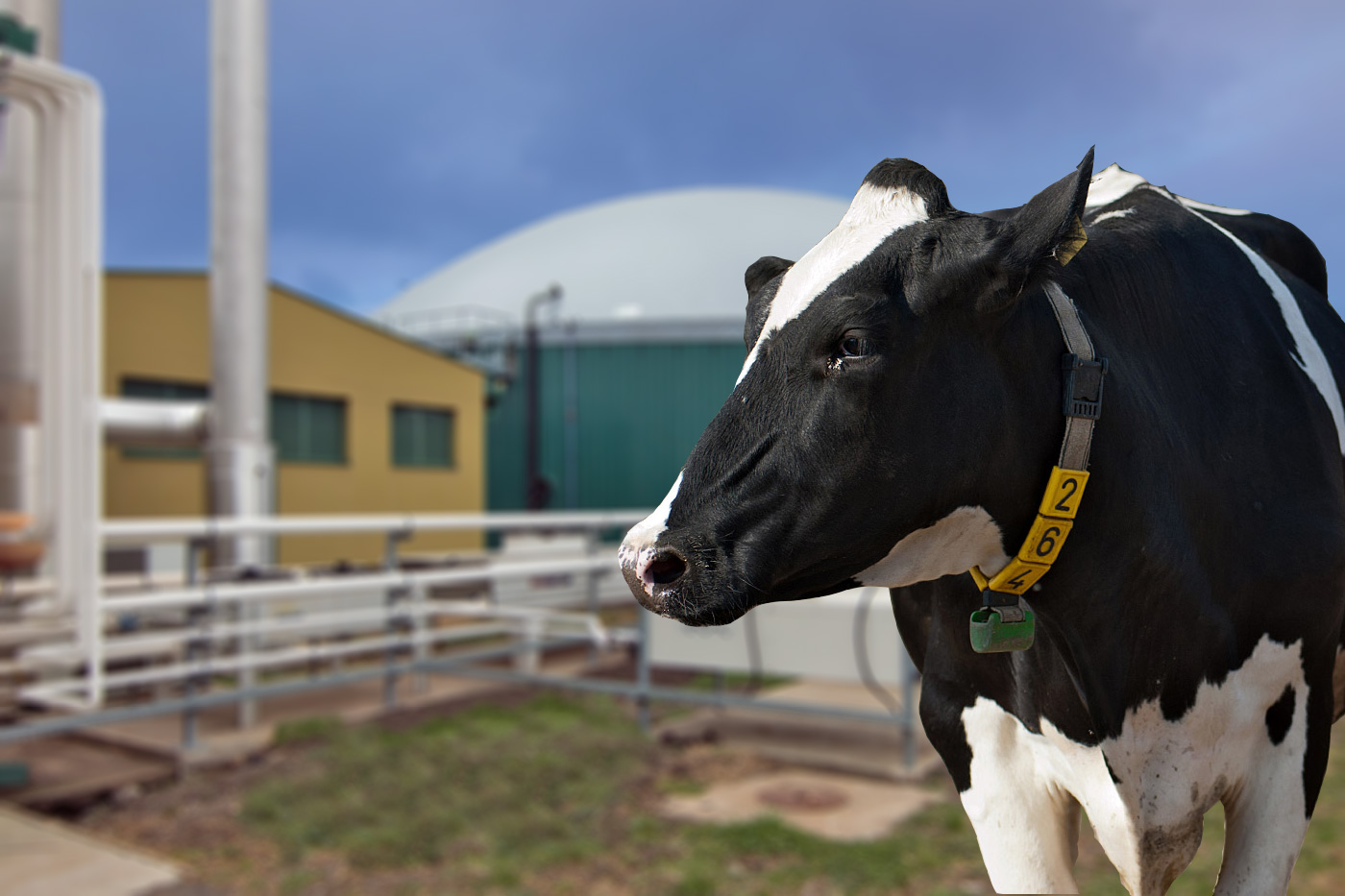 Global Seed农场项目丨Tim Inženjering（诺维萨德工程公司）-0