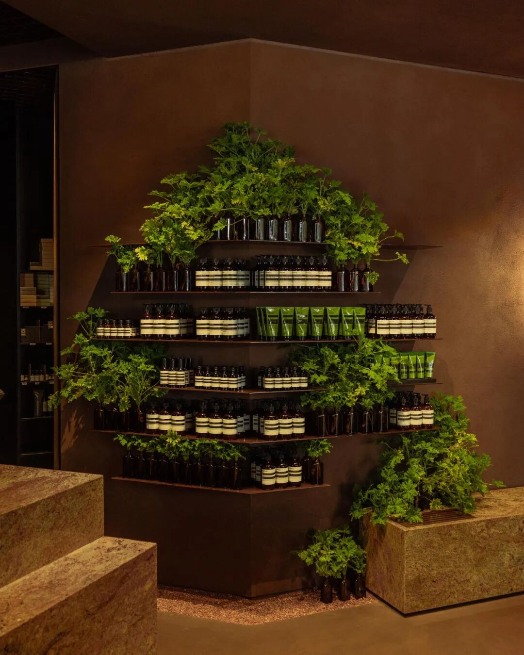 Aesop新加坡高岛屋“石笼”概念店设计-19