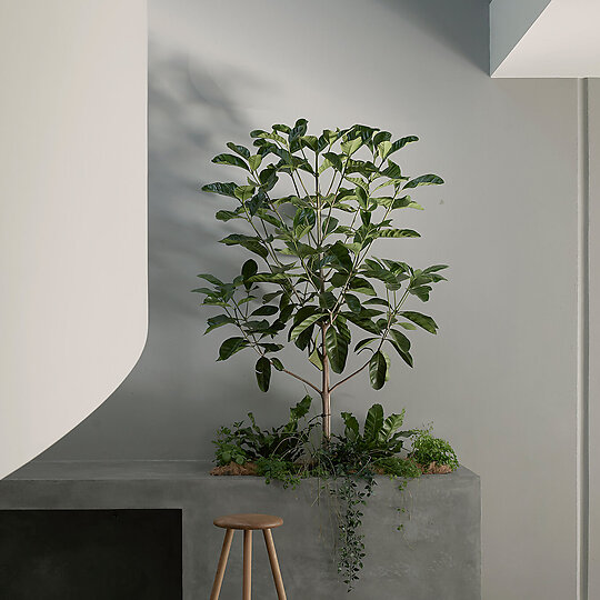 Tasman Gallery by Benn + Penna | Australian Interior Design Awards-4