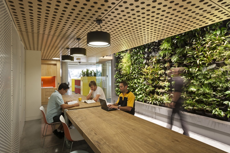 阳光建筑期货(SCF)-38