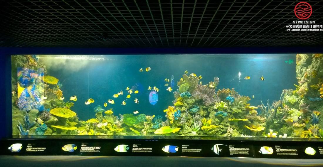 
海洋馆展示工程（海洋区） -12