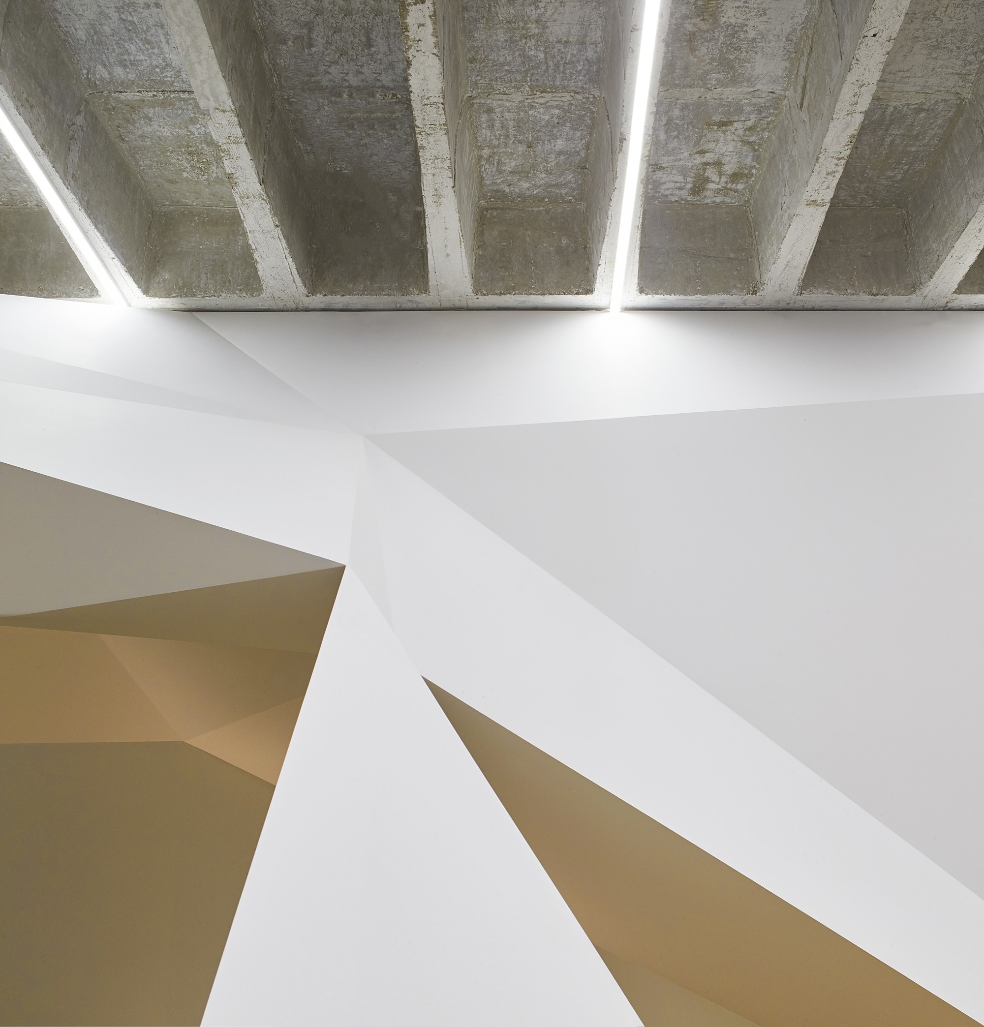 Vortex Ogrydziak Prillinger Architects-7