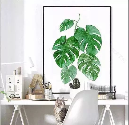 绿色植物装饰画,为家增添自然清新之美-5