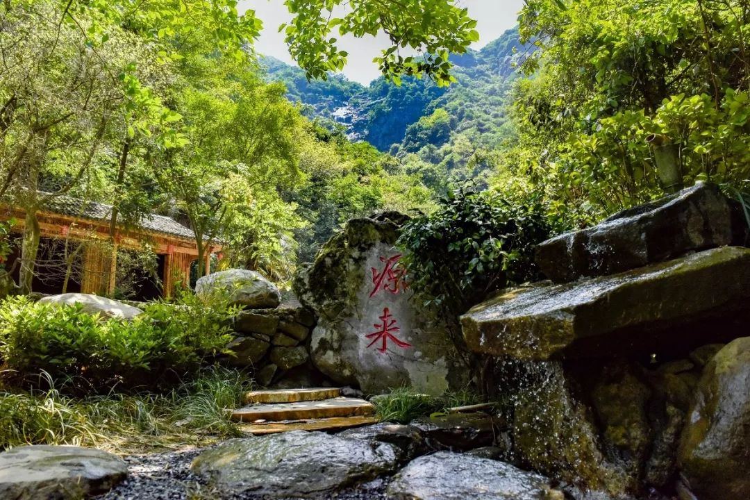 庐山桃花源景区名茶名泉节效果提升 | 打造茶禅一味的美景-91