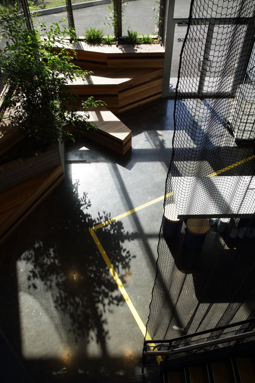 墨尔本 Melrose 健康产品总部,绿色生态办公空间-15