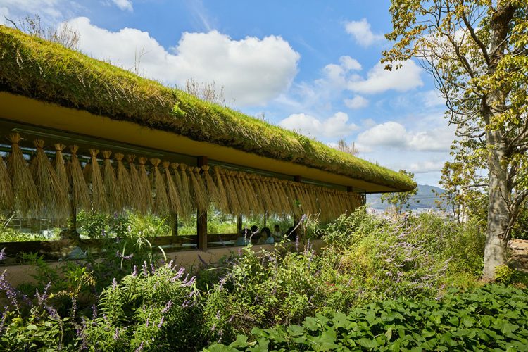 Laboratory Under The Crop Field-16