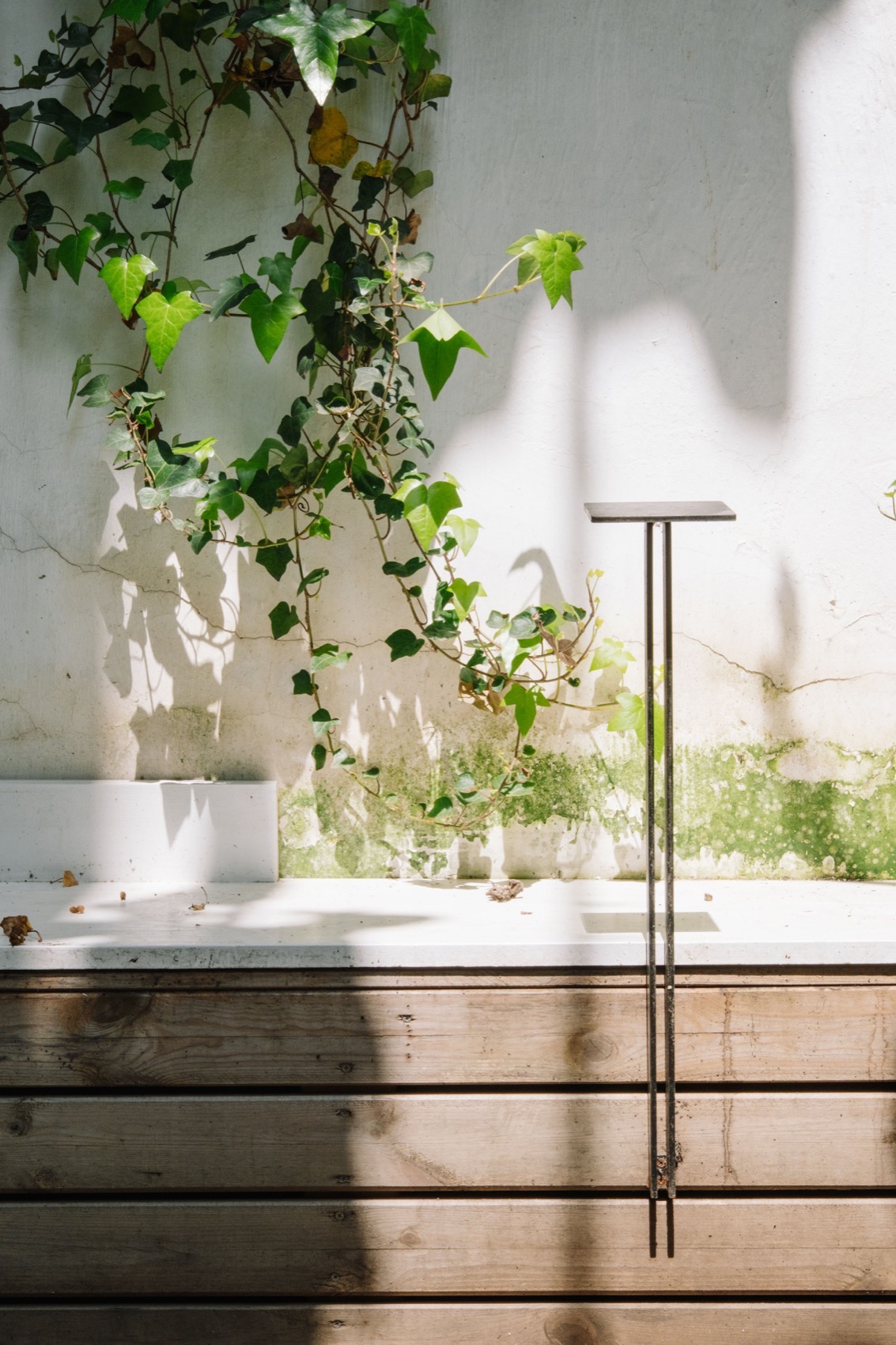 上海富民路一大白&杂碎工作室丨中国上海丨Office FUU 一大白设计研究所-46