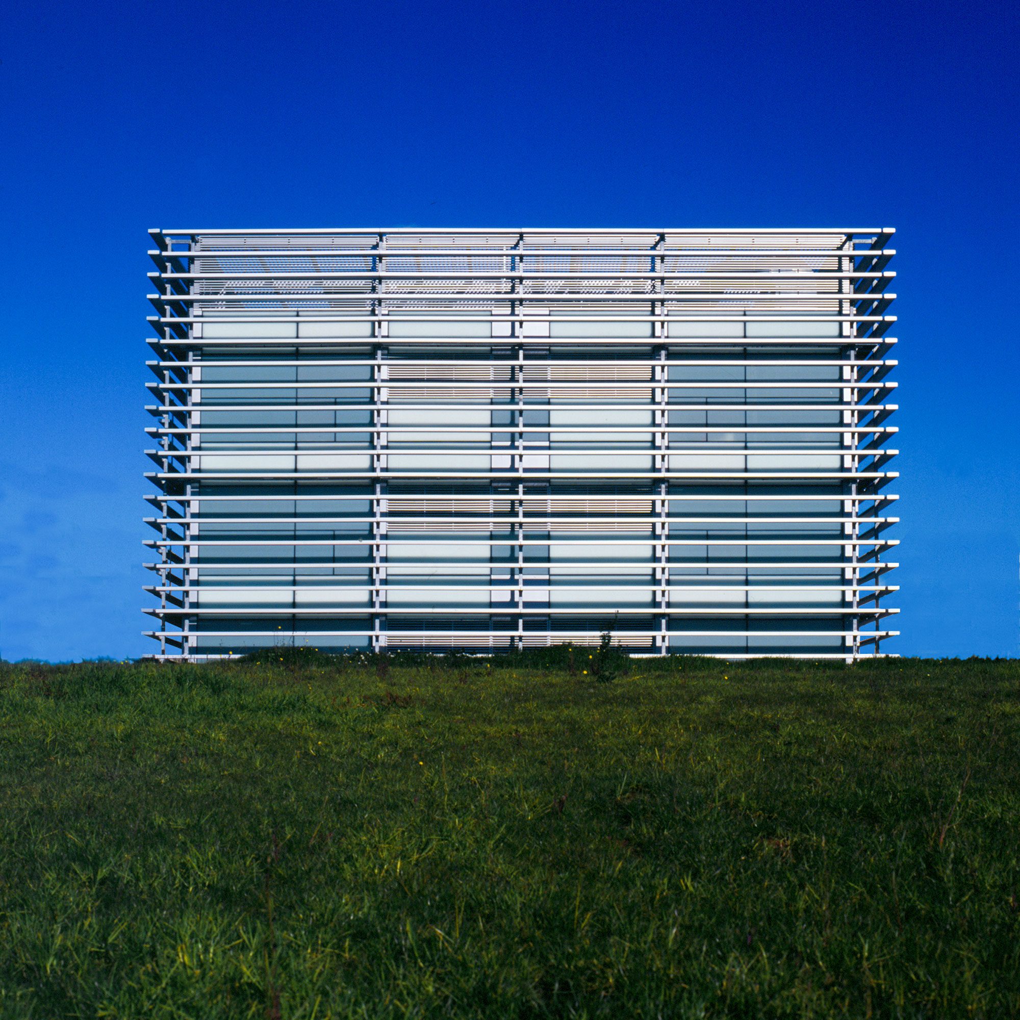 Research Center Príncipe Felipe Ramón Esteve-9