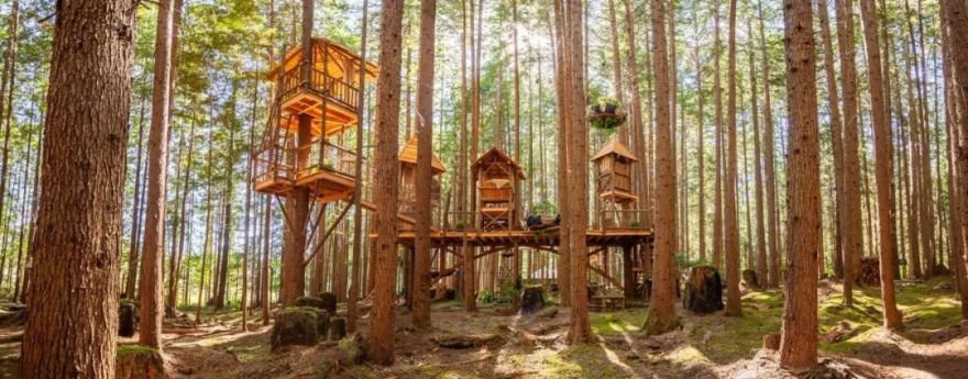 树屋大师 Pete Nelson | 从副业到树屋帝国的蜕变-26