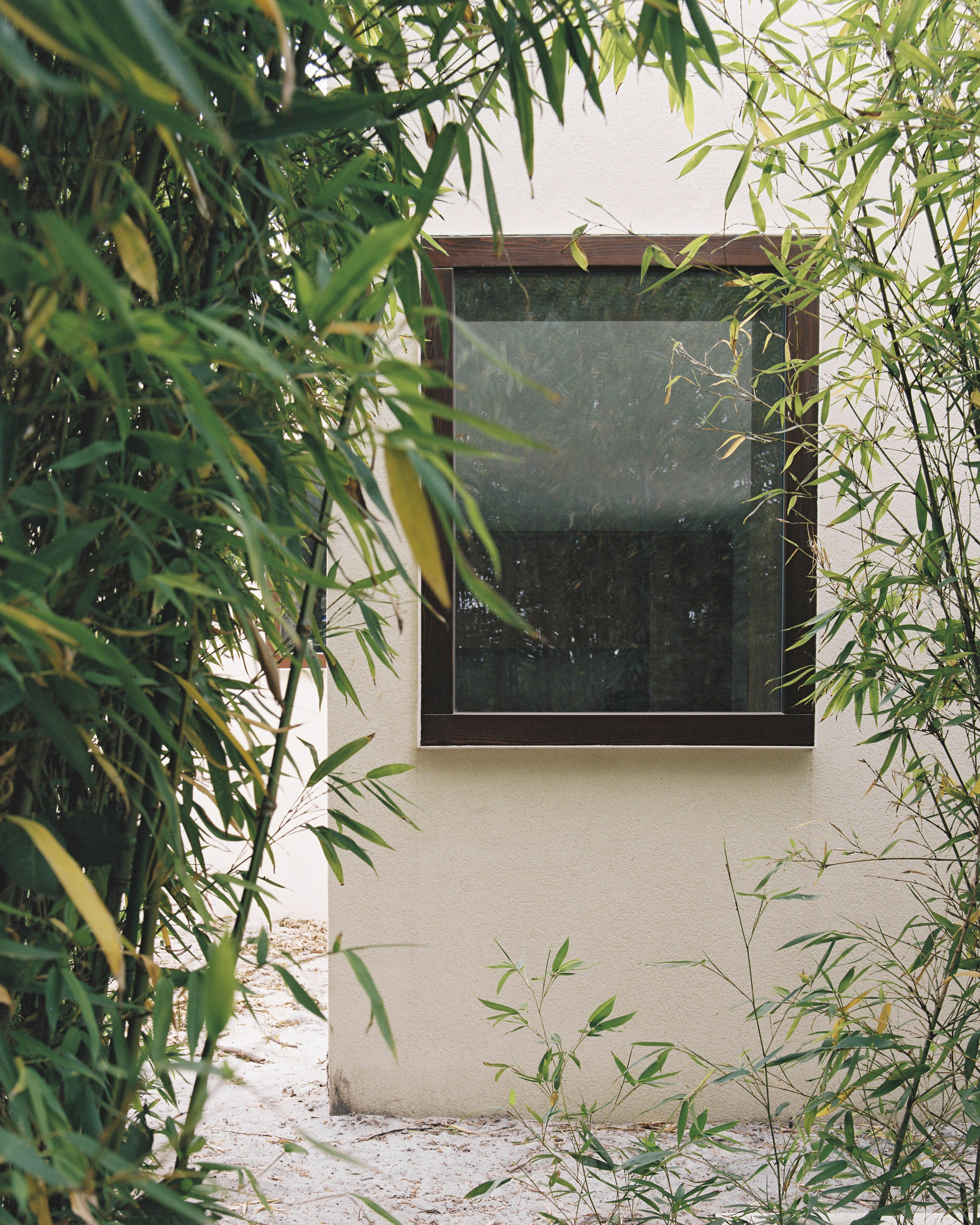 Casa de Hóspedes 民宿丨葡萄牙丨Arriba-9