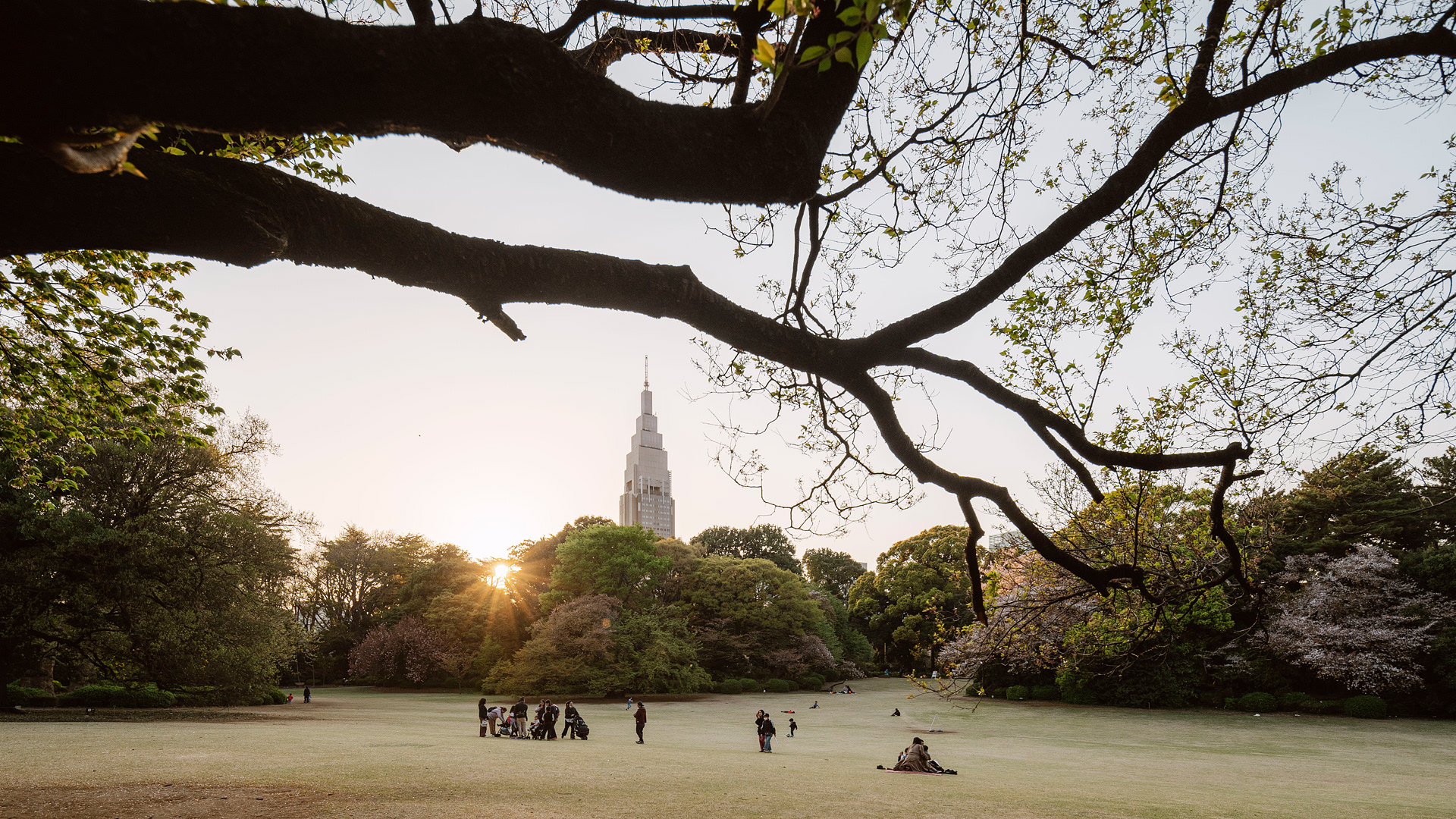 Tokyo-360