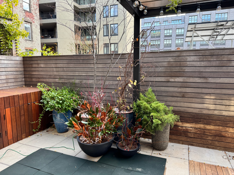 Williamsburg terrace-3