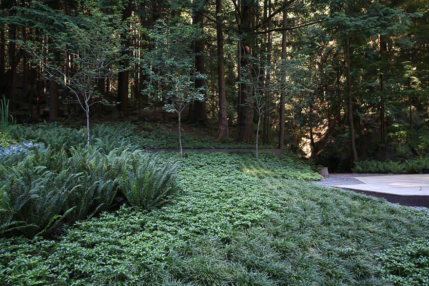 柏树瀑布住宅-13