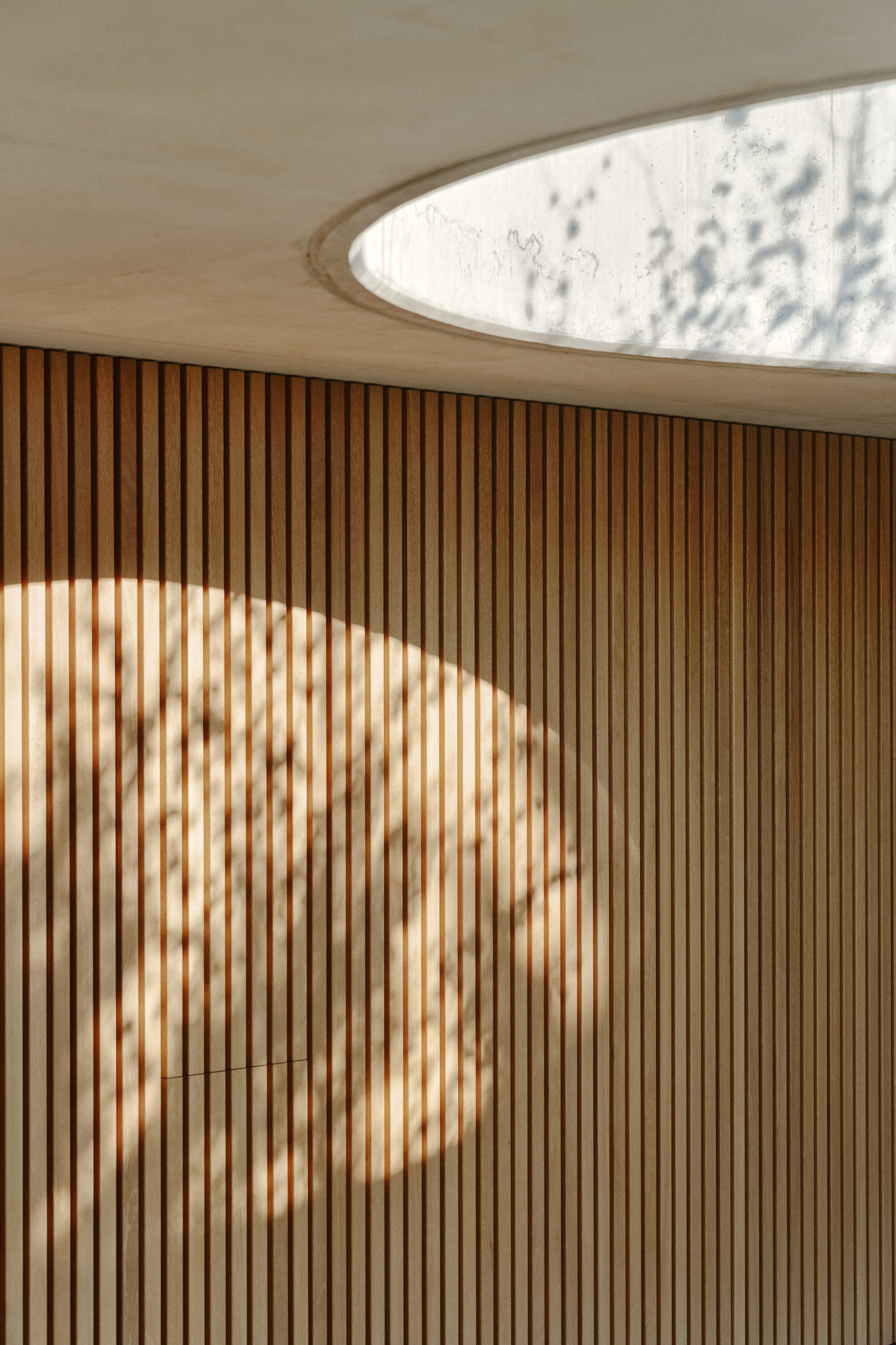 森林混凝土住宅丨波兰波兹南丨PL.Architekci-44