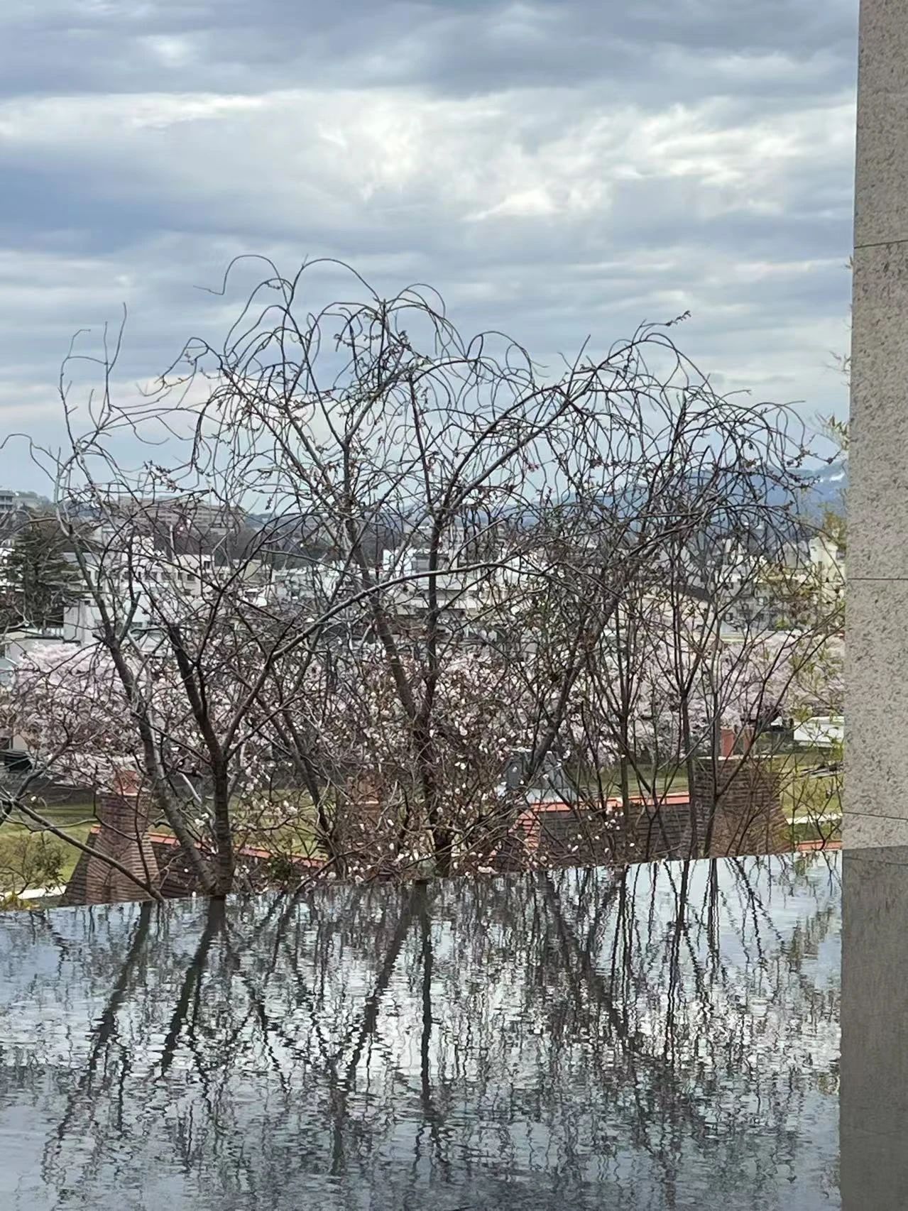 谷口吉郎·吉生纪念 金泽建筑馆丨日本丨谷口吉生-164