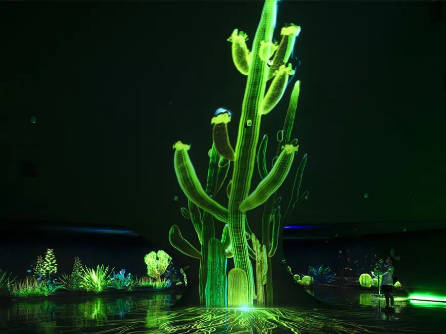 RDI瑞国际照明设计|以光为笔,绘自然奇境——世博文化园温室植物园夜游照明设计解析(上)-17
