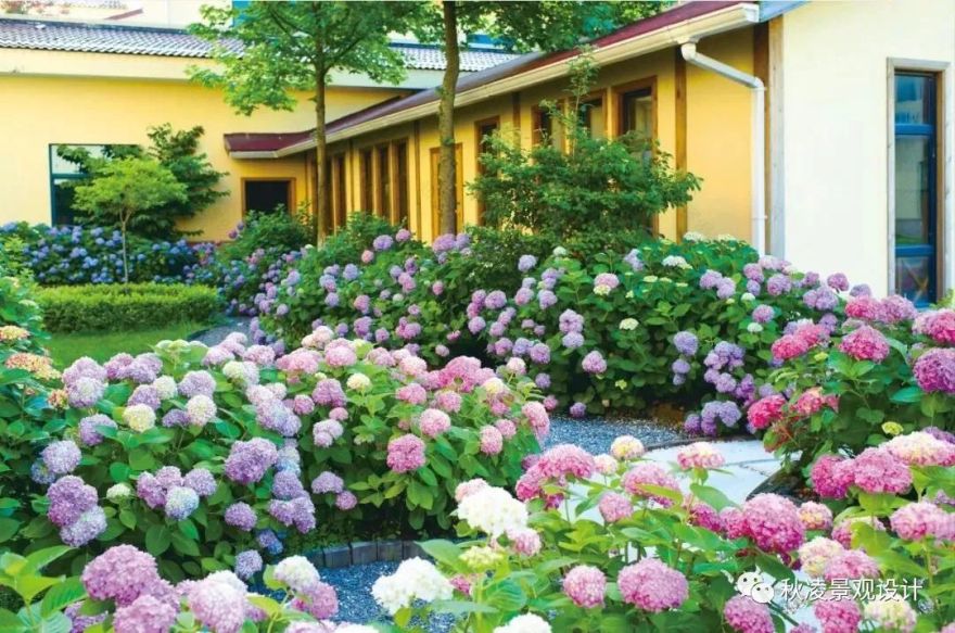 植物景观设计 | 创造优美的园林空间环境-13